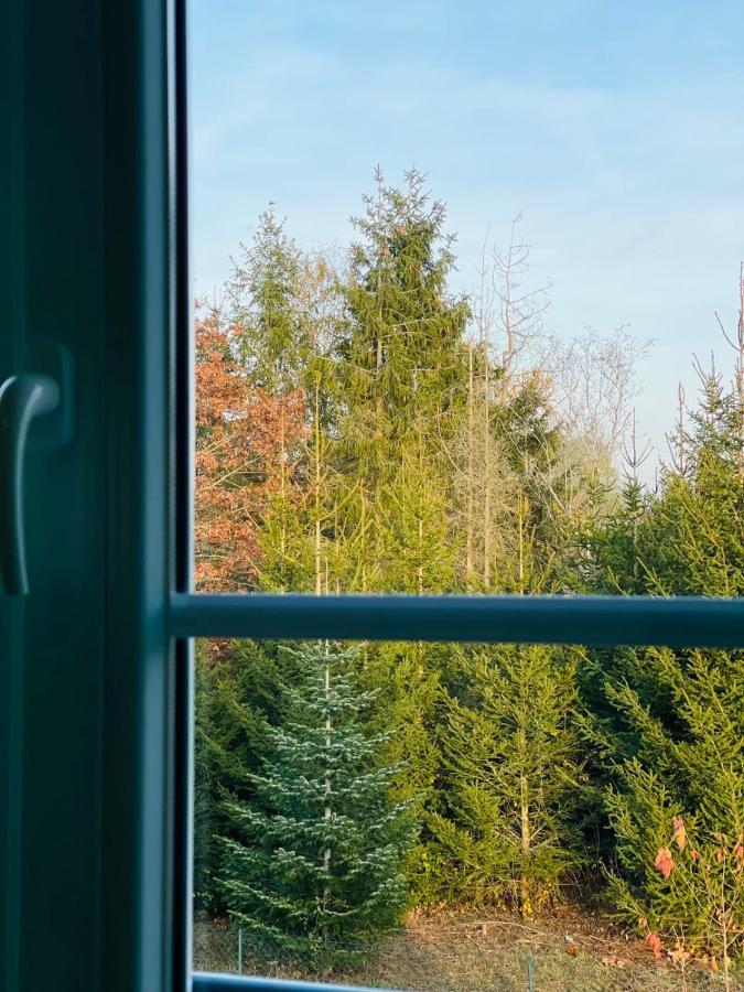 Apartment "Le Briand" Charming Base For Your Sightseeing In Touraine Noizay Eksteriør bilde